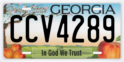GA license plate CCV4289