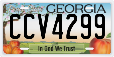 GA license plate CCV4299