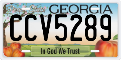 GA license plate CCV5289