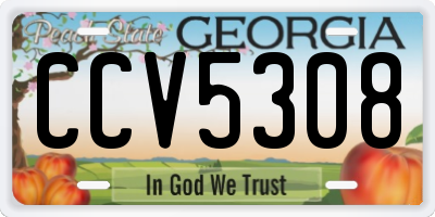 GA license plate CCV5308