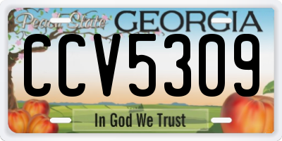 GA license plate CCV5309