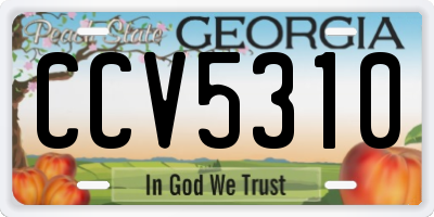 GA license plate CCV5310