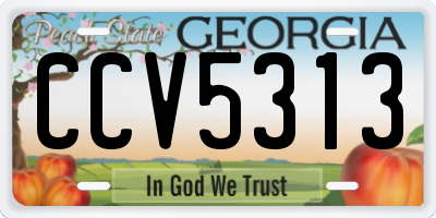 GA license plate CCV5313
