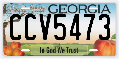 GA license plate CCV5473