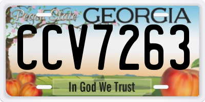 GA license plate CCV7263