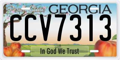 GA license plate CCV7313