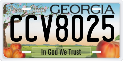 GA license plate CCV8025