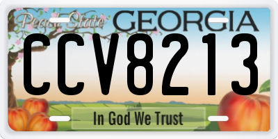 GA license plate CCV8213
