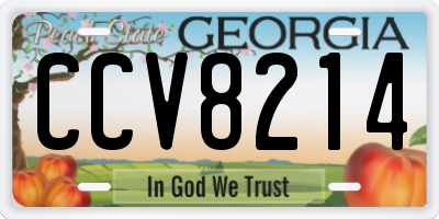 GA license plate CCV8214