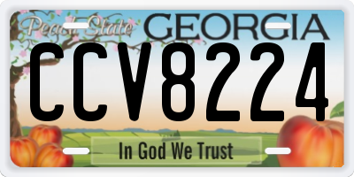 GA license plate CCV8224