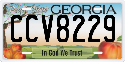 GA license plate CCV8229