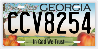 GA license plate CCV8254