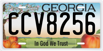 GA license plate CCV8256