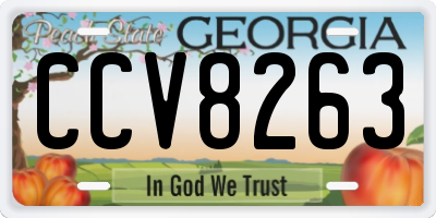 GA license plate CCV8263