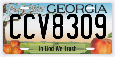 GA license plate CCV8309