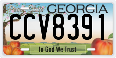 GA license plate CCV8391