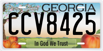 GA license plate CCV8425