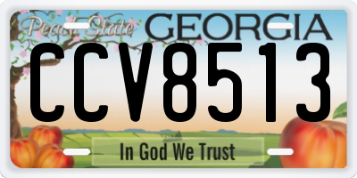GA license plate CCV8513
