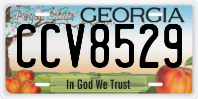 GA license plate CCV8529