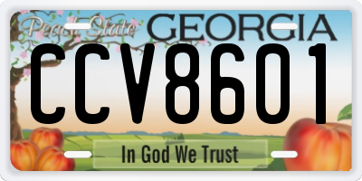GA license plate CCV8601