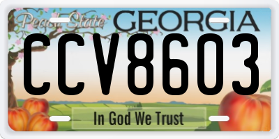 GA license plate CCV8603