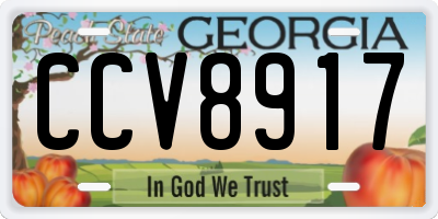 GA license plate CCV8917