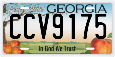 GA license plate CCV9175