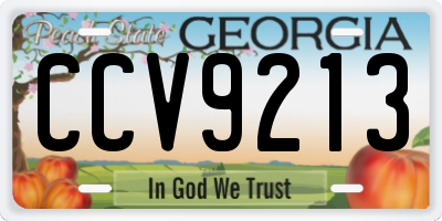 GA license plate CCV9213