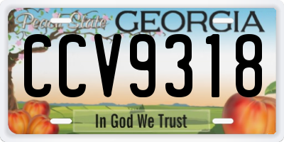 GA license plate CCV9318