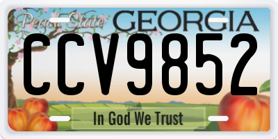 GA license plate CCV9852