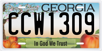 GA license plate CCW1309