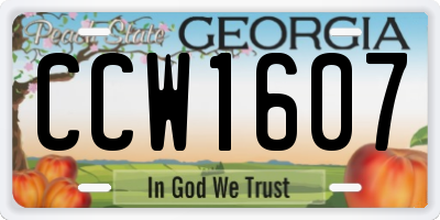 GA license plate CCW1607