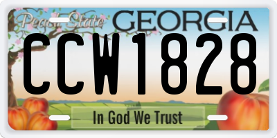 GA license plate CCW1828