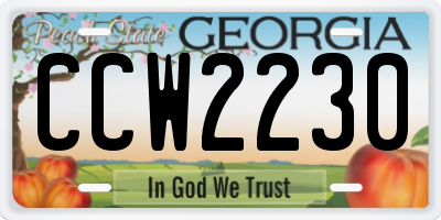 GA license plate CCW2230