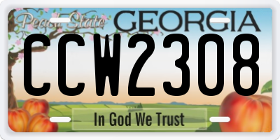 GA license plate CCW2308