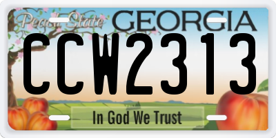 GA license plate CCW2313