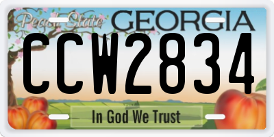 GA license plate CCW2834