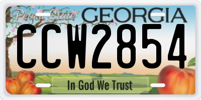 GA license plate CCW2854