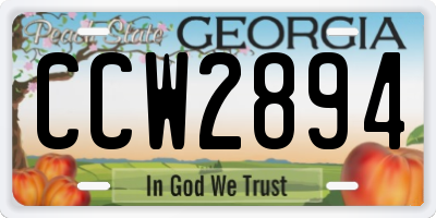 GA license plate CCW2894