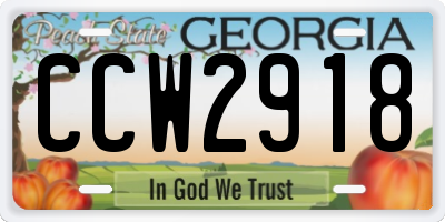 GA license plate CCW2918