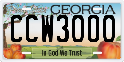 GA license plate CCW3000