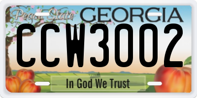 GA license plate CCW3002