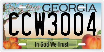 GA license plate CCW3004