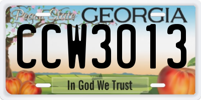 GA license plate CCW3013