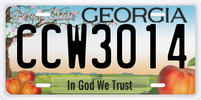 GA license plate CCW3014