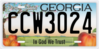 GA license plate CCW3024