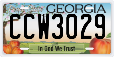 GA license plate CCW3029