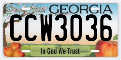 GA license plate CCW3036