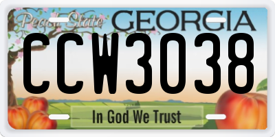 GA license plate CCW3038