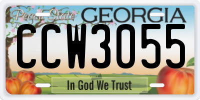GA license plate CCW3055